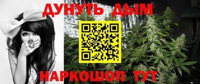 прущие крисы Нальчик